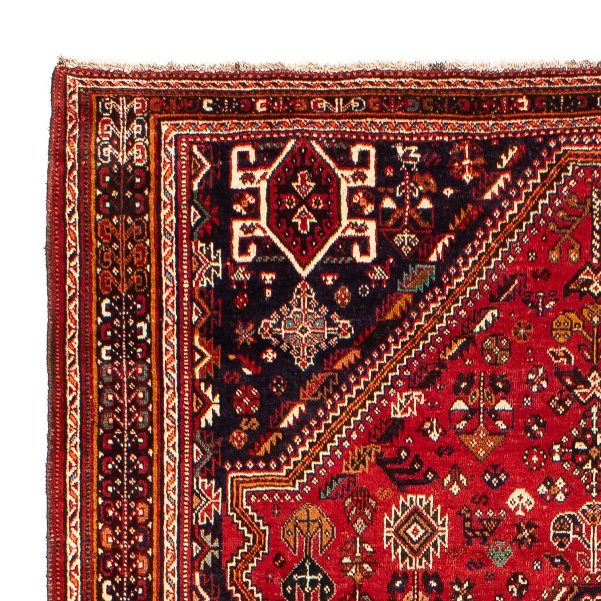 Shiraz Teppich 189x298cm - Perserteppich
