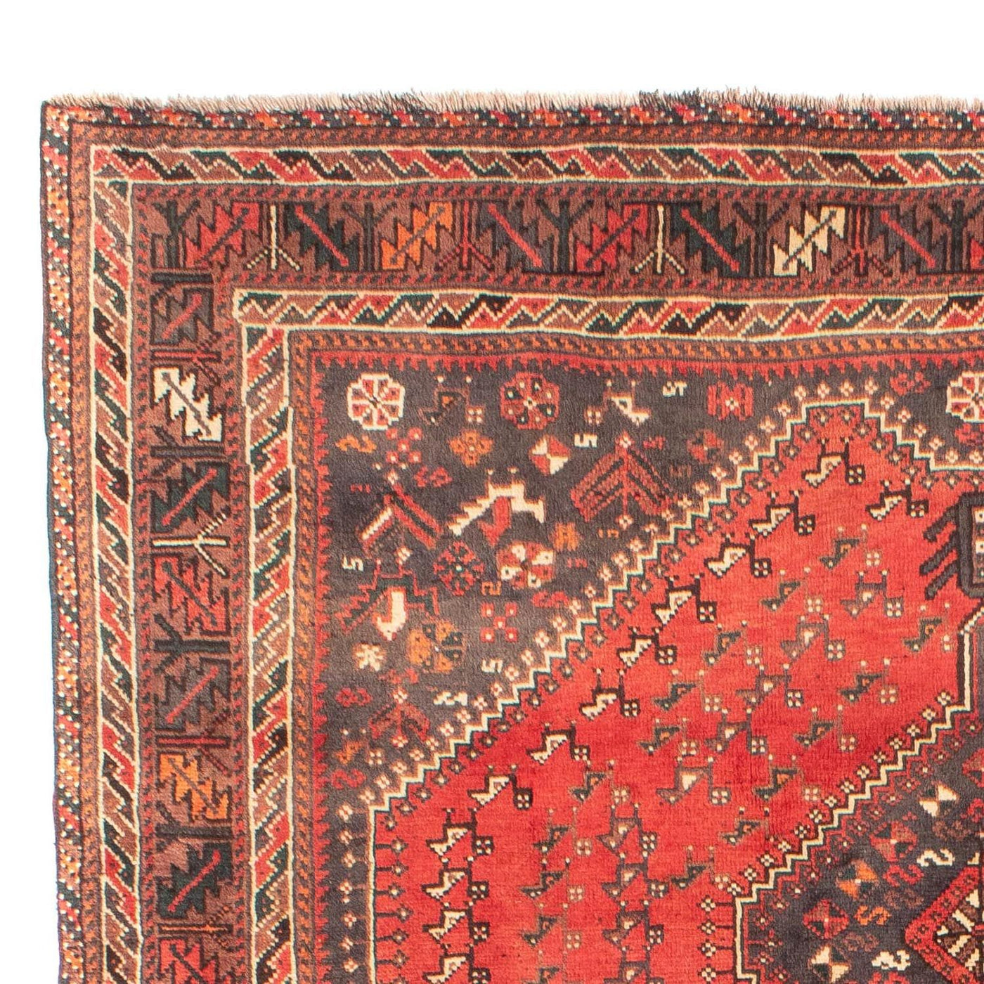 Shiraz Teppich 279x203cm - Perserteppich