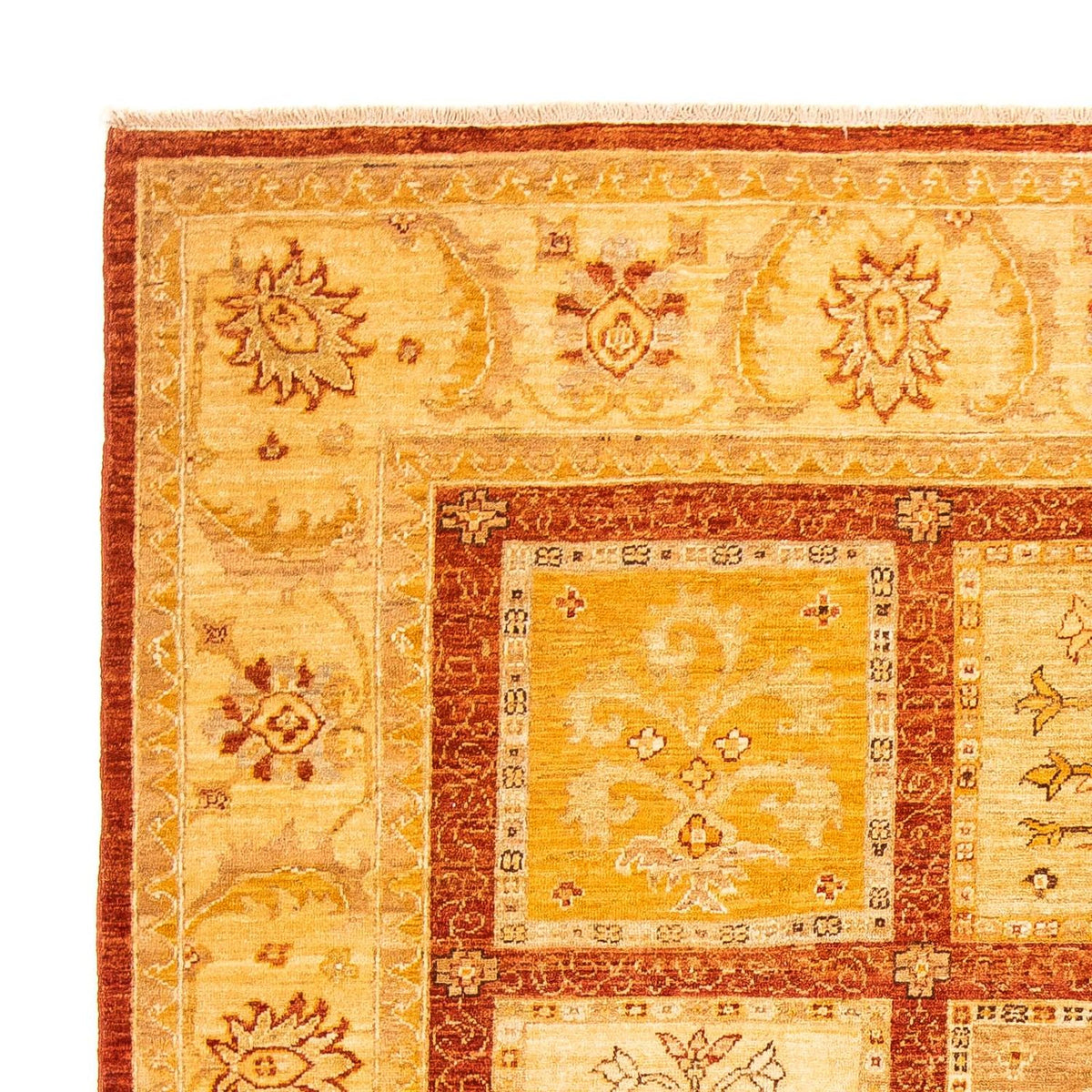 Ziegler Teppich 249 x 191 cm