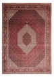 Bidjar Teppich 254x344cm - Perserteppich