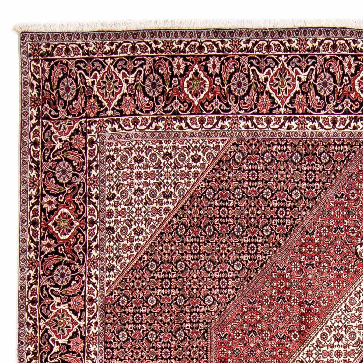 Bidjar Teppich 300x252cm - Perserteppich