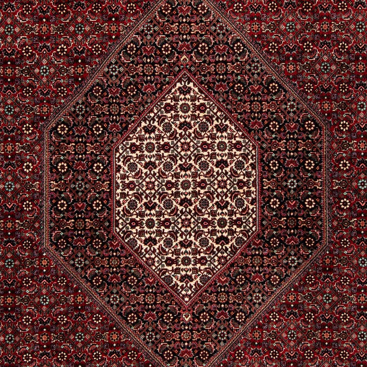 Perserteppich - Bidjar 258 x 202 cm Wohnzimmer Teppich