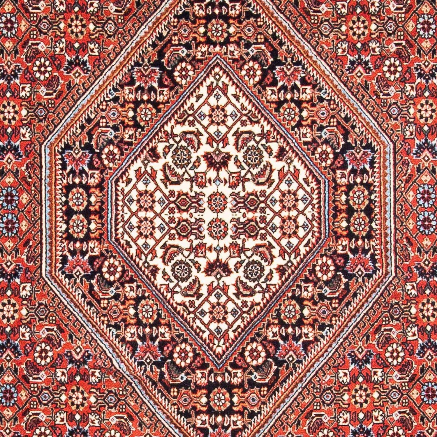 Perserteppich - Bidjar - Royal 186 x 109 cm