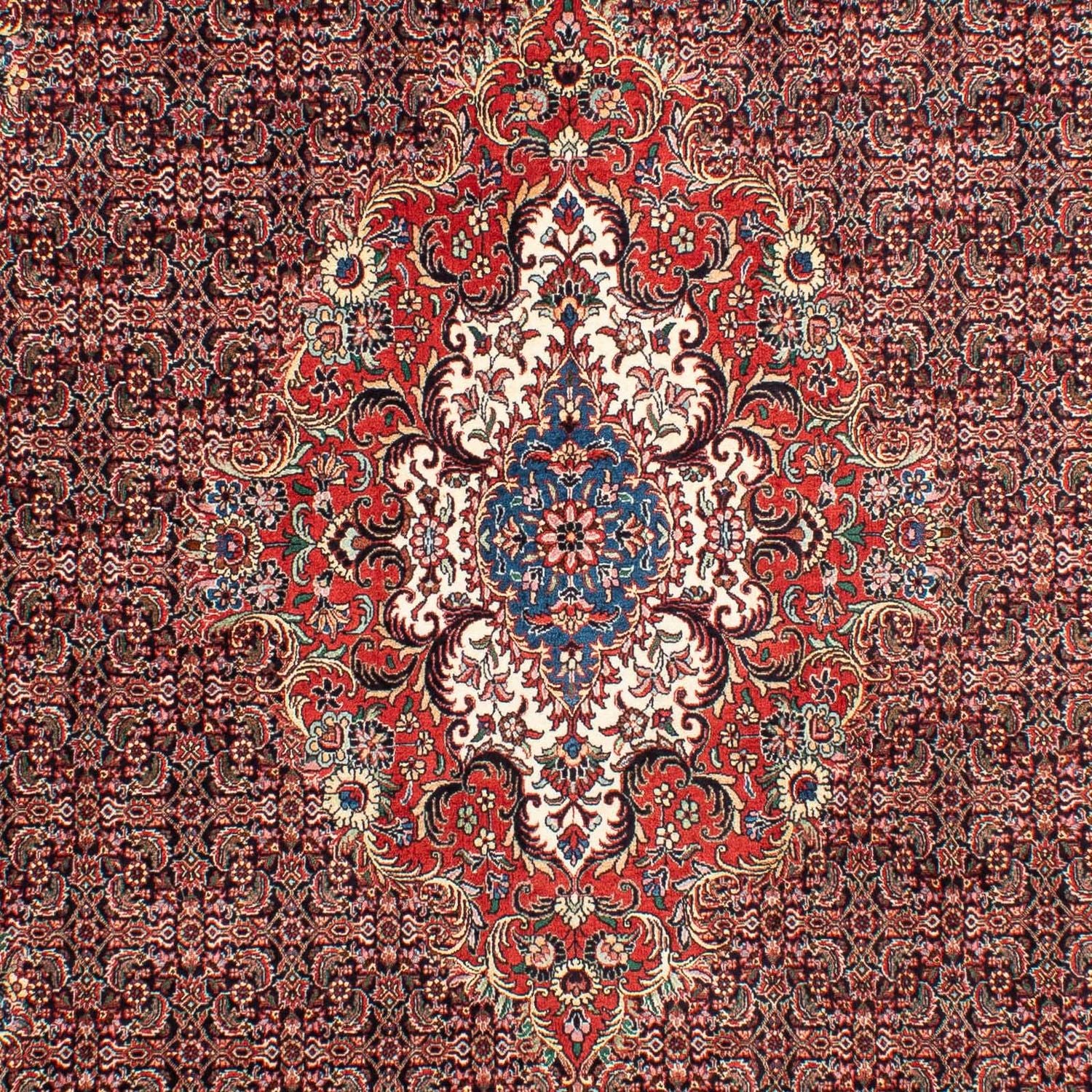 Perserteppich - Bidjar 304 x 198 cm Teppich Wohnzimmer