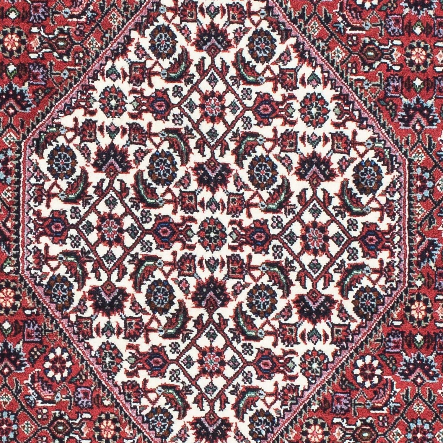 Perserteppich - Bidjar - Royal 212 x 71 cm