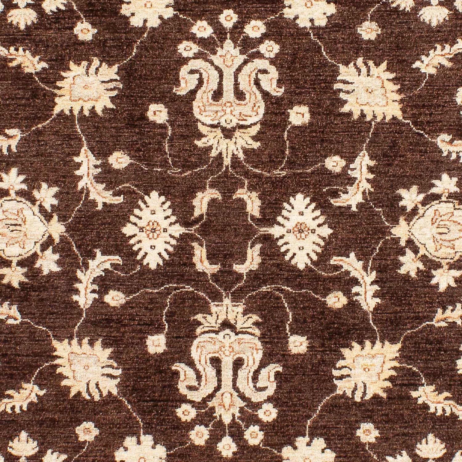 Ziegler Teppich 235 x 164 cm
