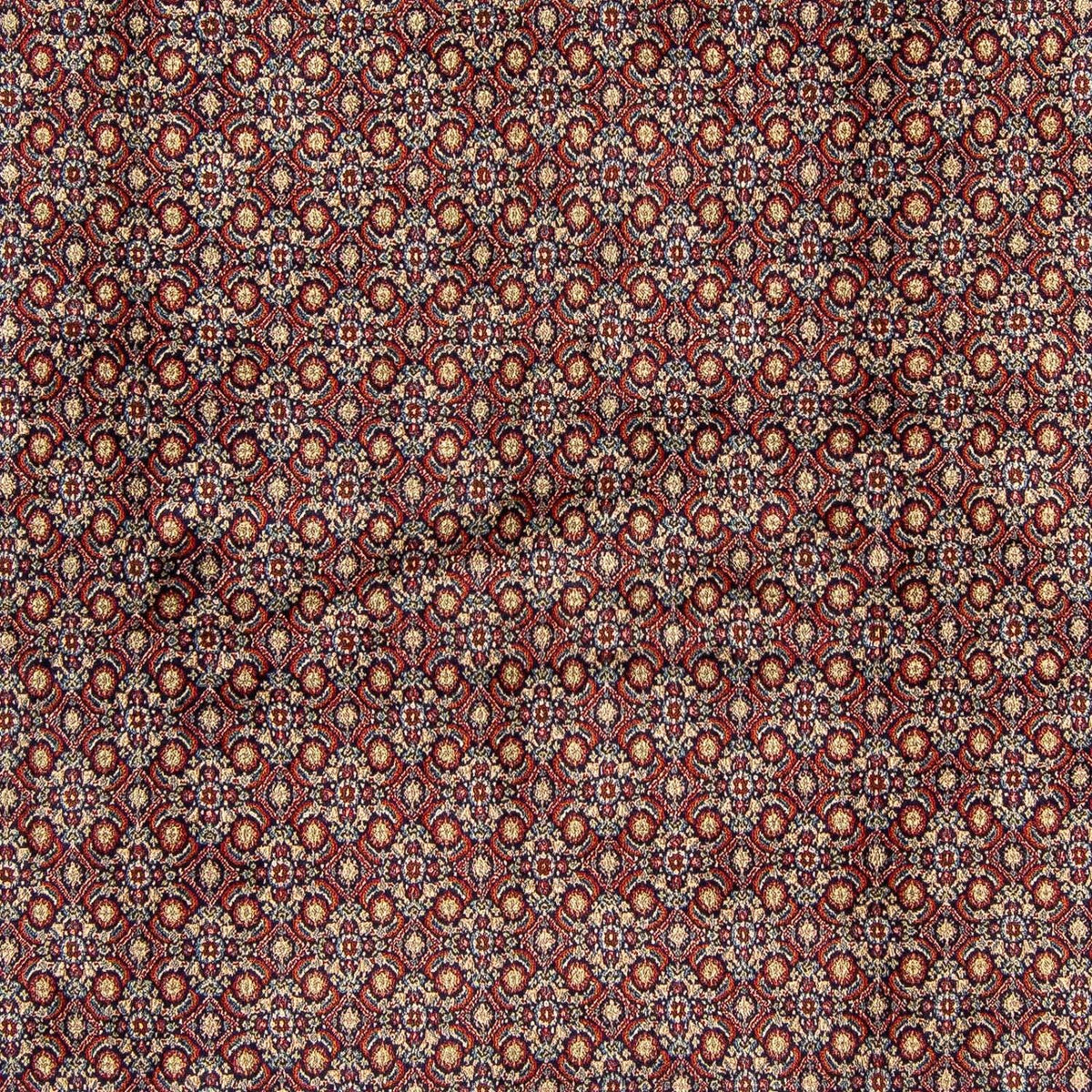 Perserteppich - Classic 252 x 252 cm