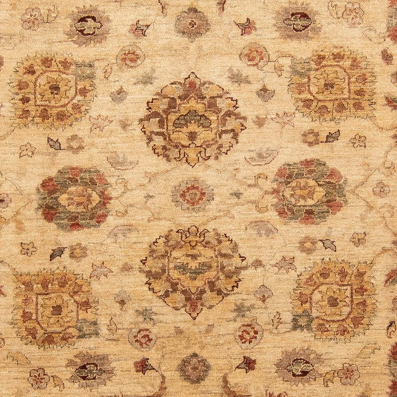 Ziegler Teppich 281 x 240 cm