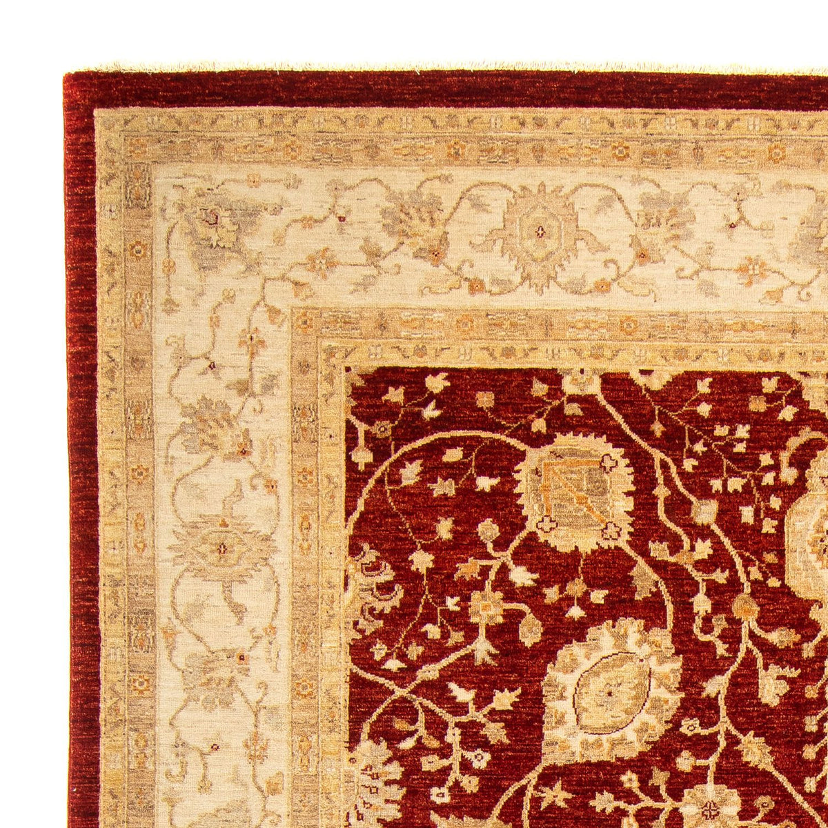 Ziegler Teppich 248x343cm - Orientteppich