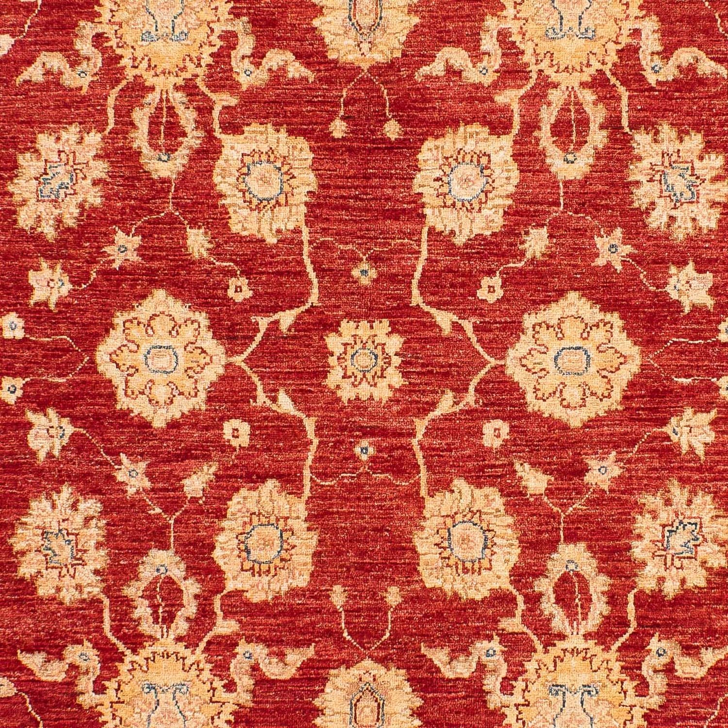 Ziegler Teppich 245 x 163 cm