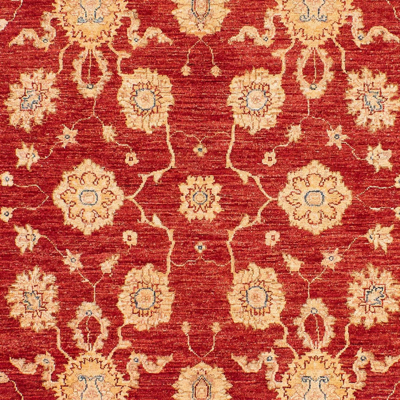 Ziegler Teppich 245 x 163 cm