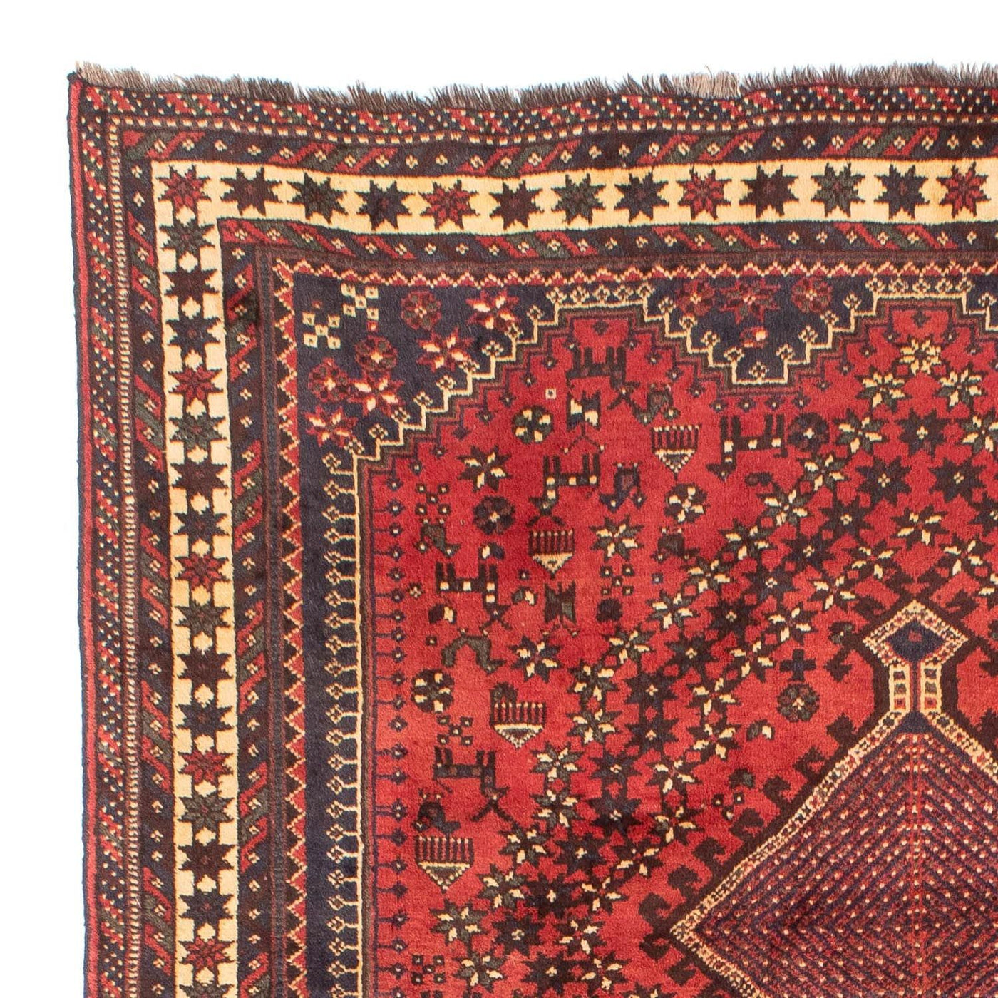 Shiraz Teppich 290x205cm - Perserteppich