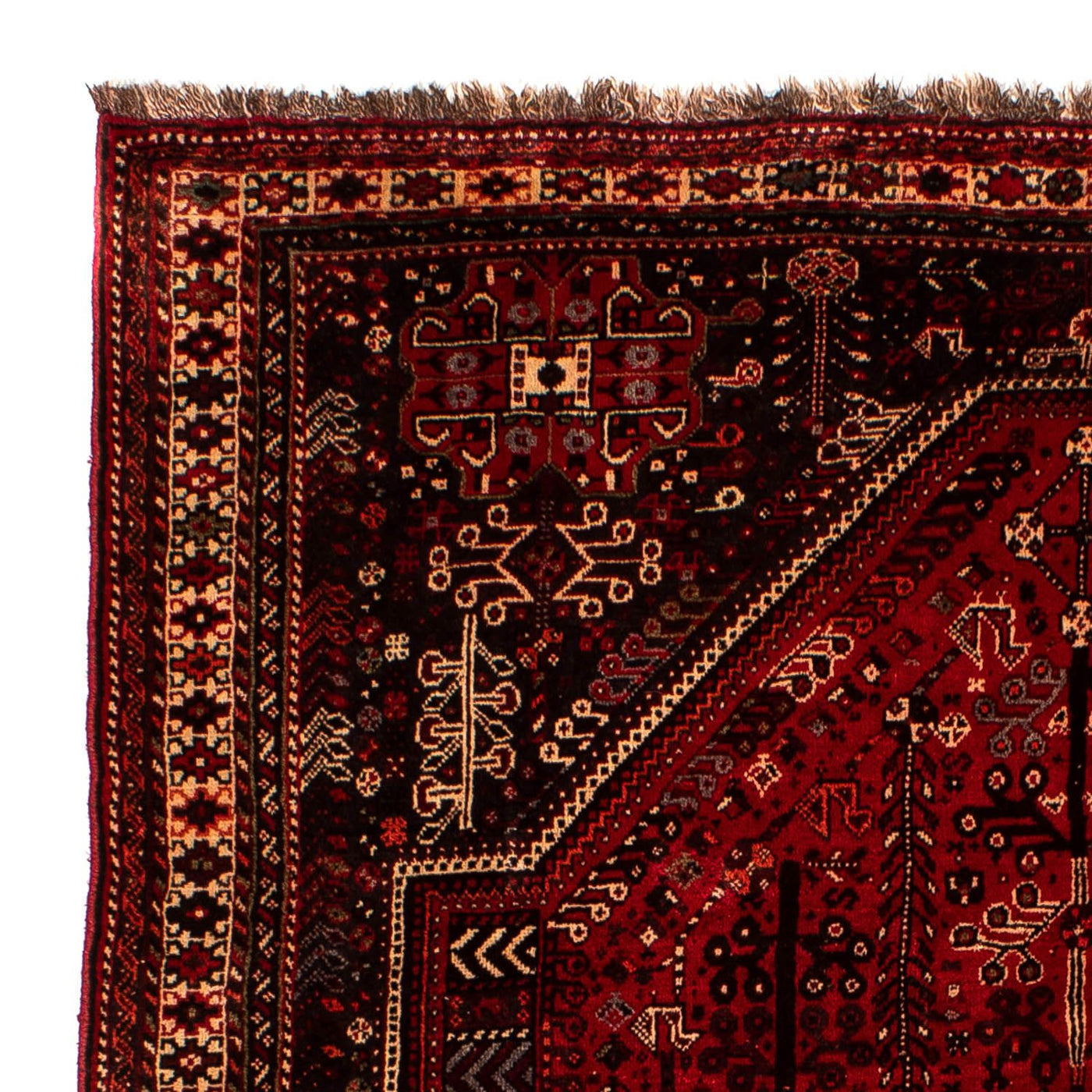 Shiraz Teppich 245x190cm - Perserteppich
