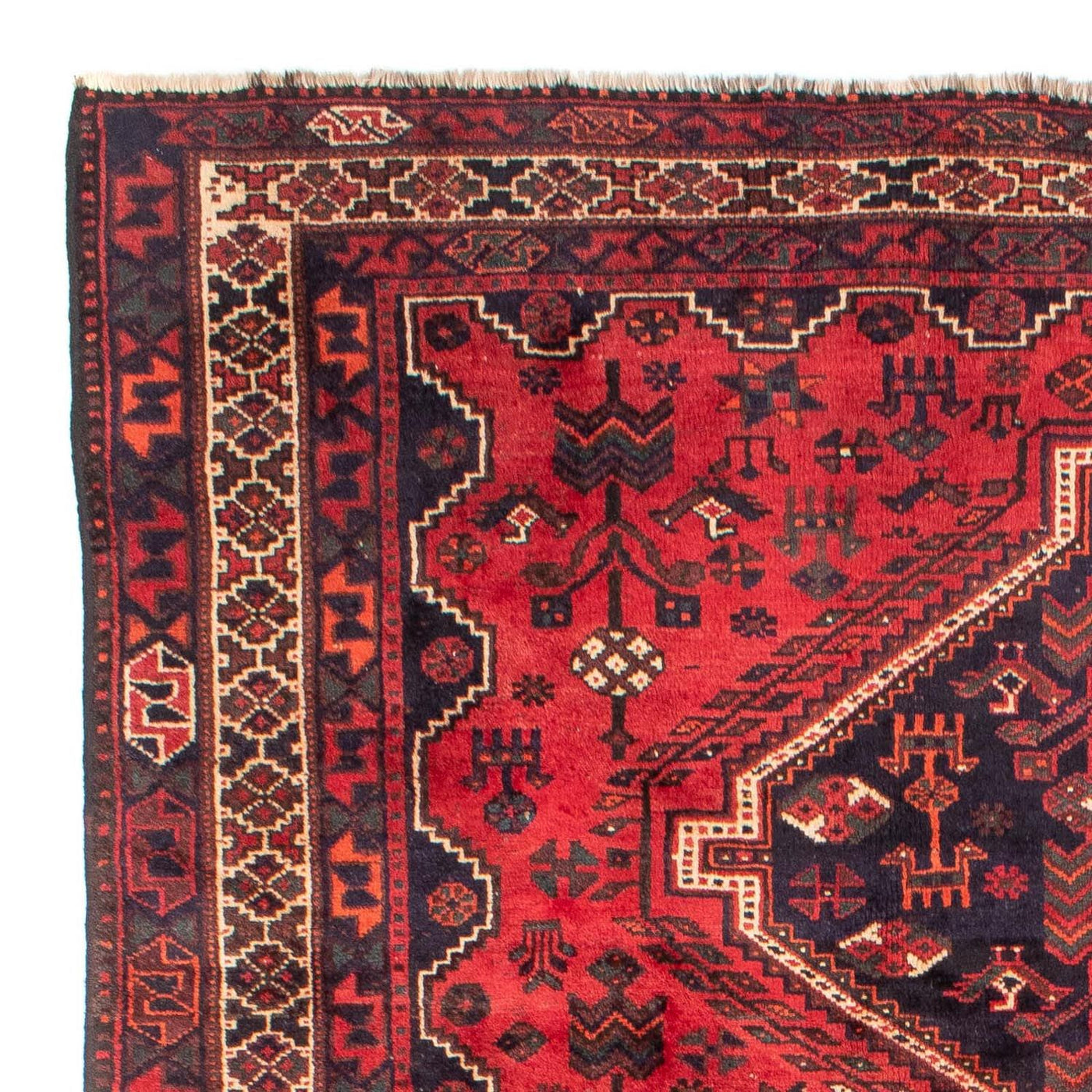 Shiraz Teppich 305x215cm - Perserteppich