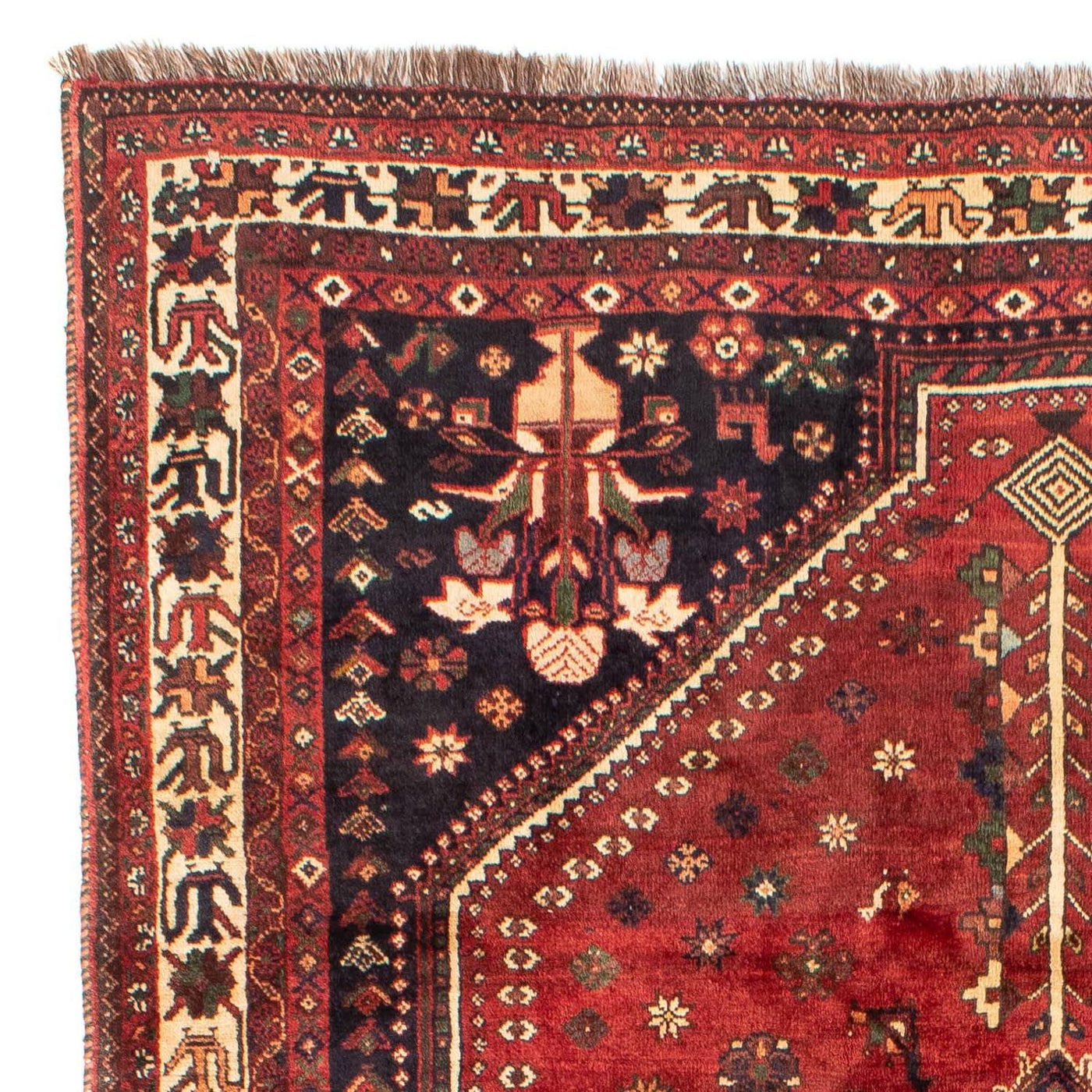 Shiraz Teppich 305x208cm - Perserteppich