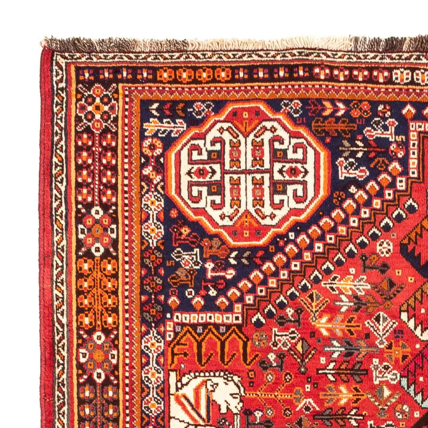Shiraz Teppich 250x155cm - Perserteppich