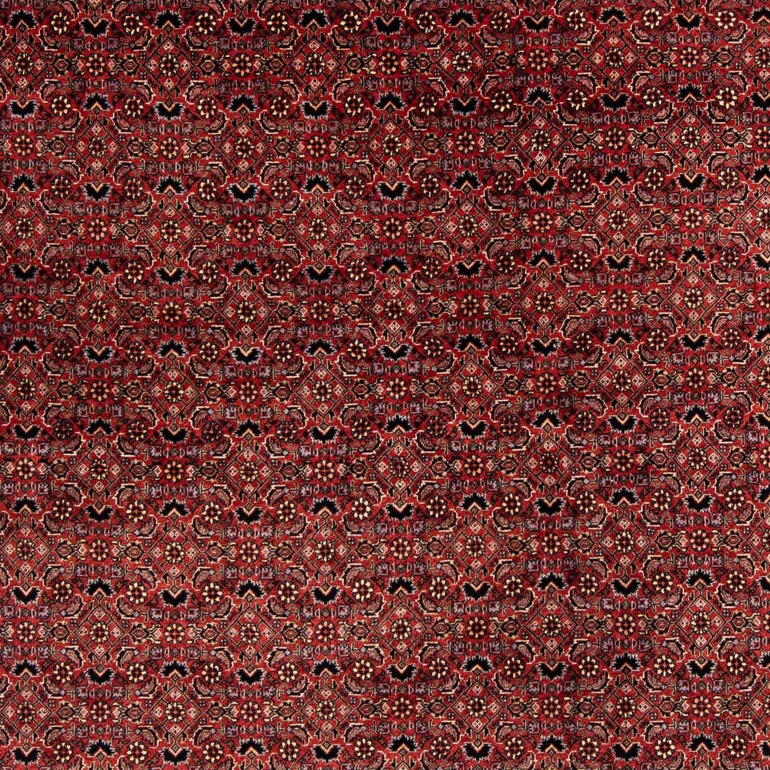 Perserteppich - Bidjar 200 x 197 cm Quadratischer Teppich