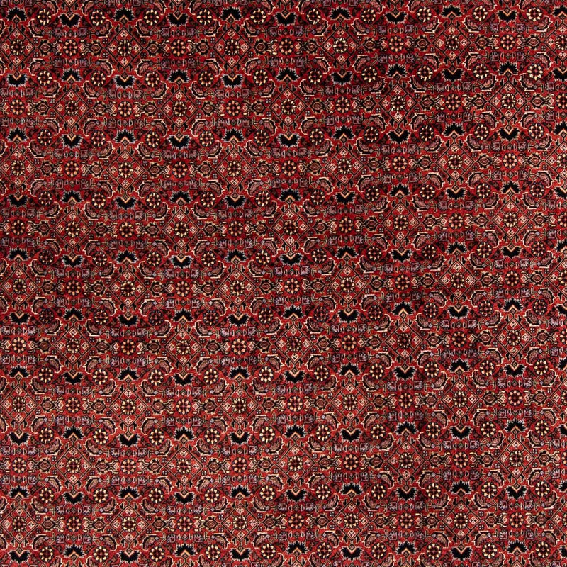 Perserteppich - Bidjar 200 x 197 cm Quadratischer Teppich