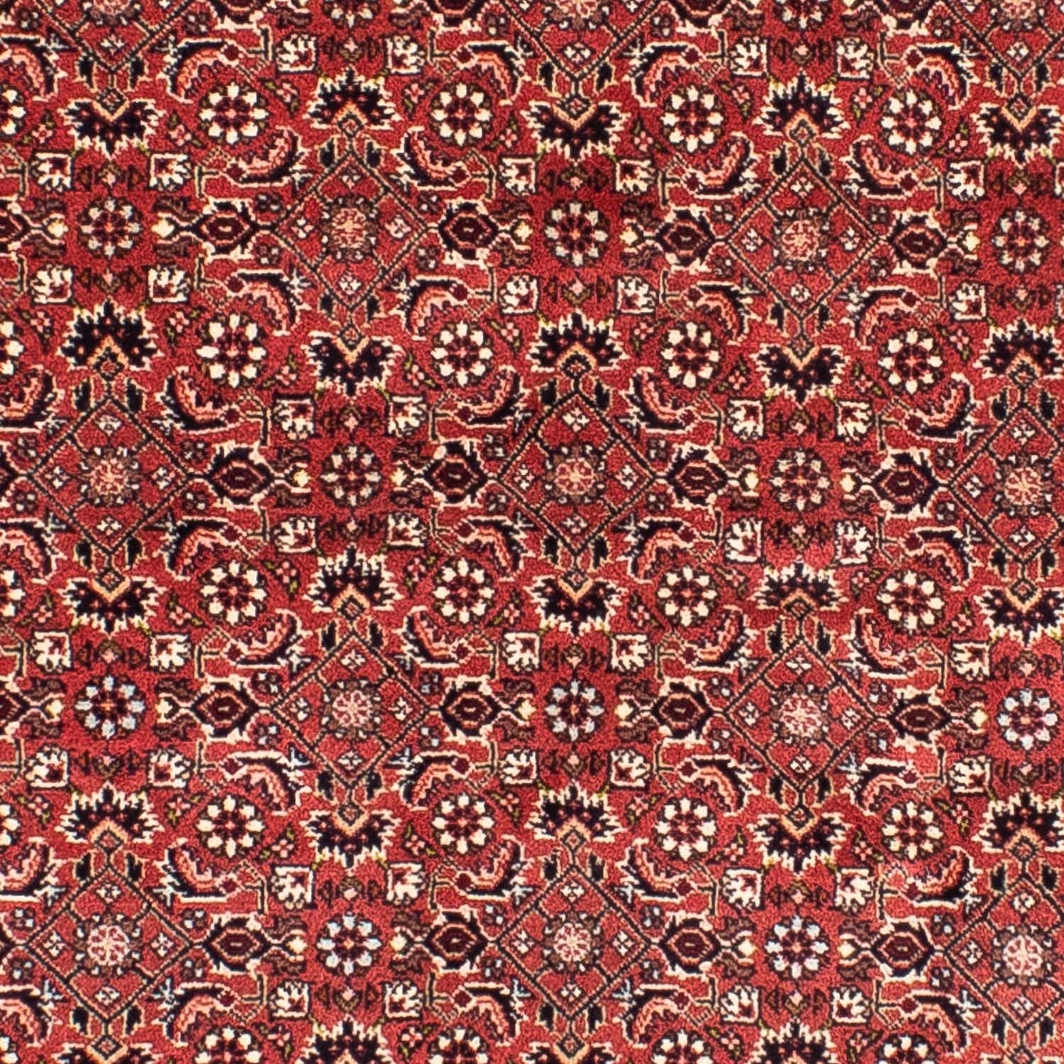 Perserteppich - Bidjar 208 x 200 cm