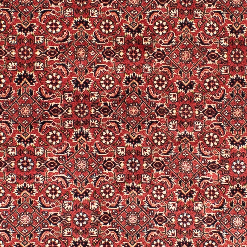 Perserteppich - Bidjar 208 x 200 cm