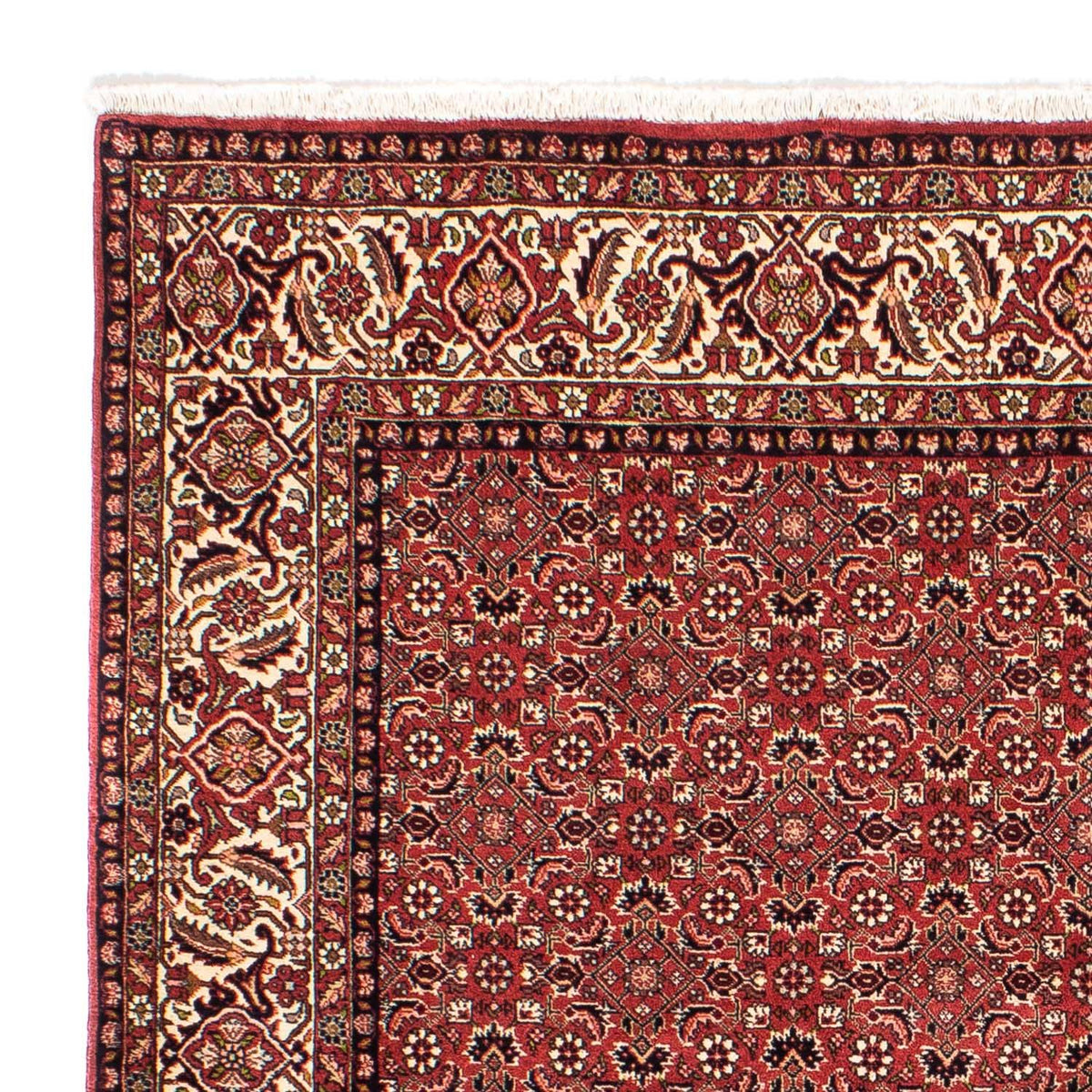 Bidjar Teppich 200x208cm - Perserteppich