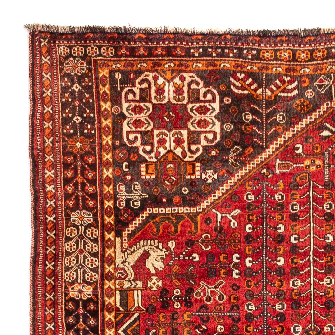 Shiraz Teppich 250x160cm - Perserteppich