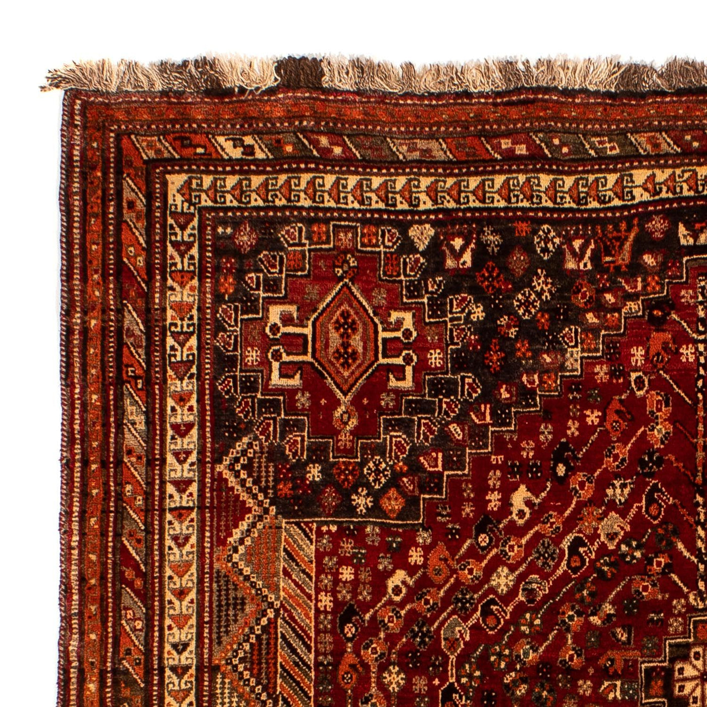 Shiraz Teppich 240x190cm - Perserteppich