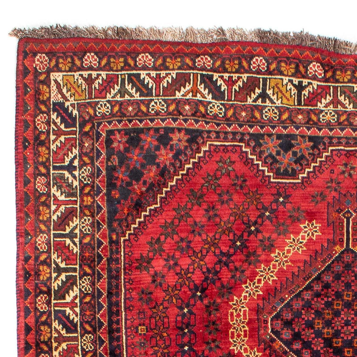 Shiraz Teppich 208x298cm - Perserteppich