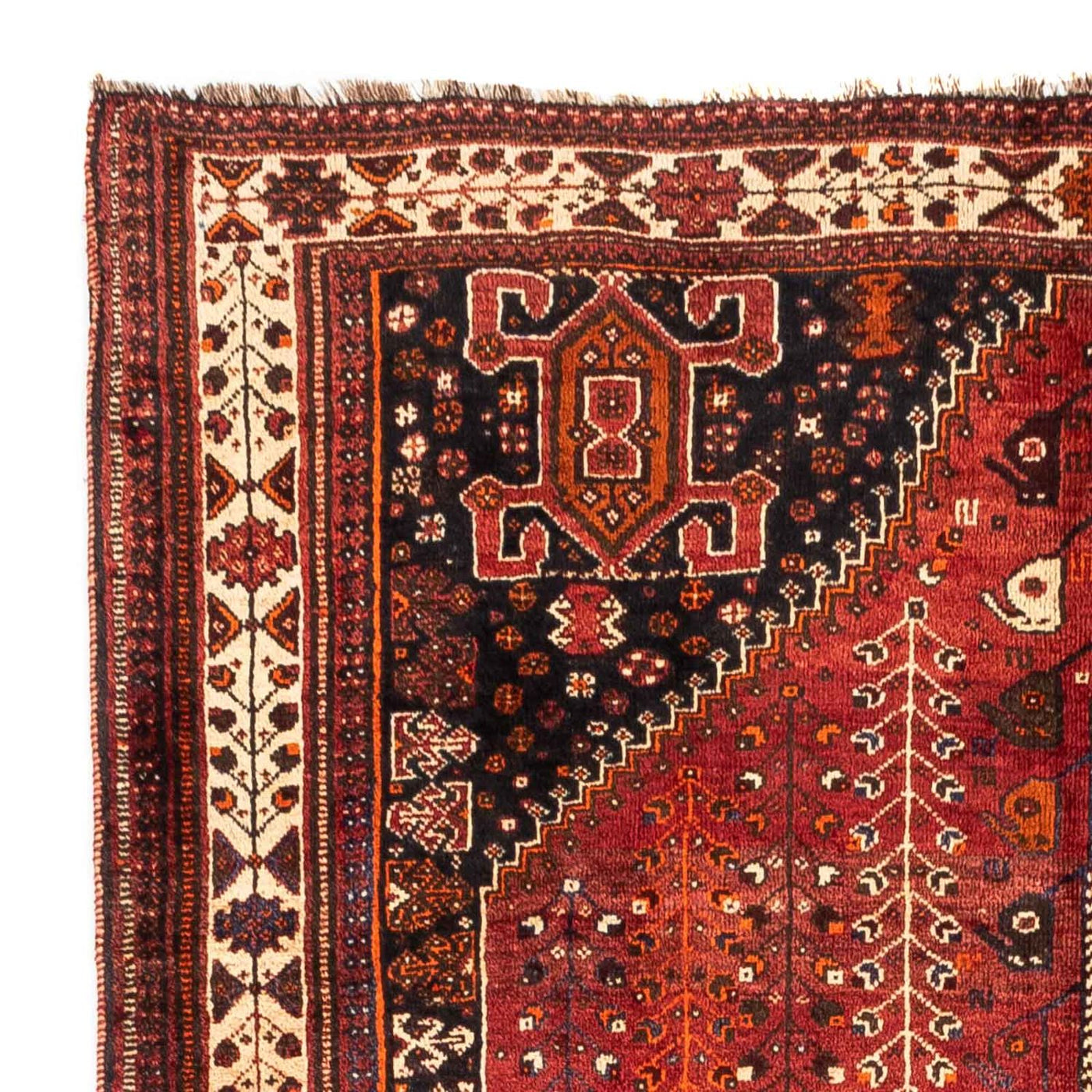 Shiraz Teppich 258x163cm - Perserteppich