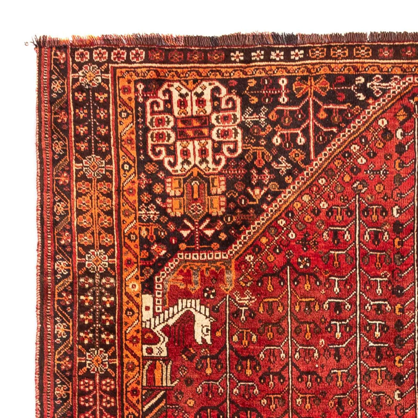 Shiraz Teppich 240x158cm - Perserteppich