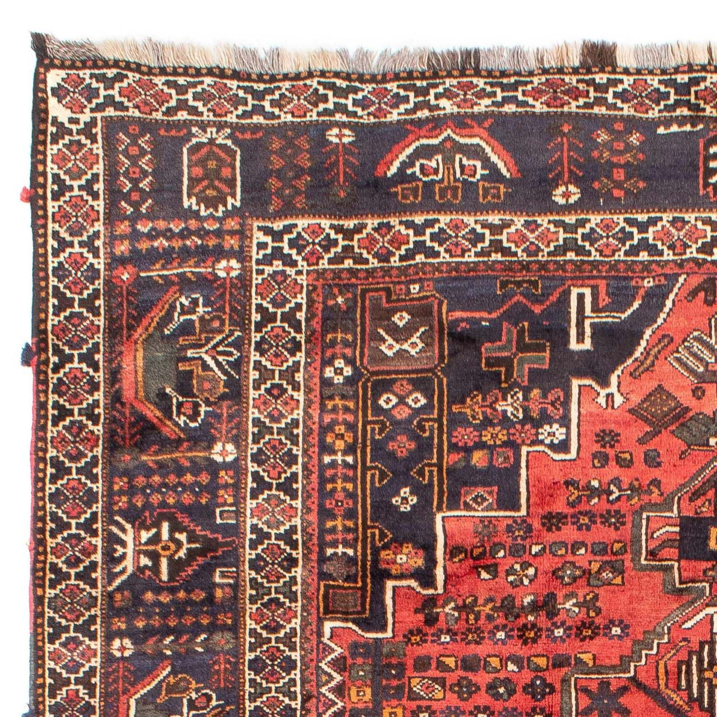 Shiraz Teppich 300x220cm - Perserteppich