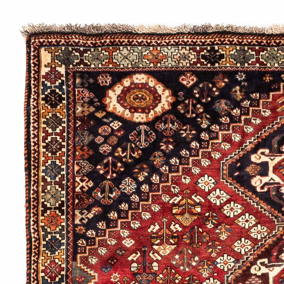 Shiraz Teppich 170x265cm - Perserteppich