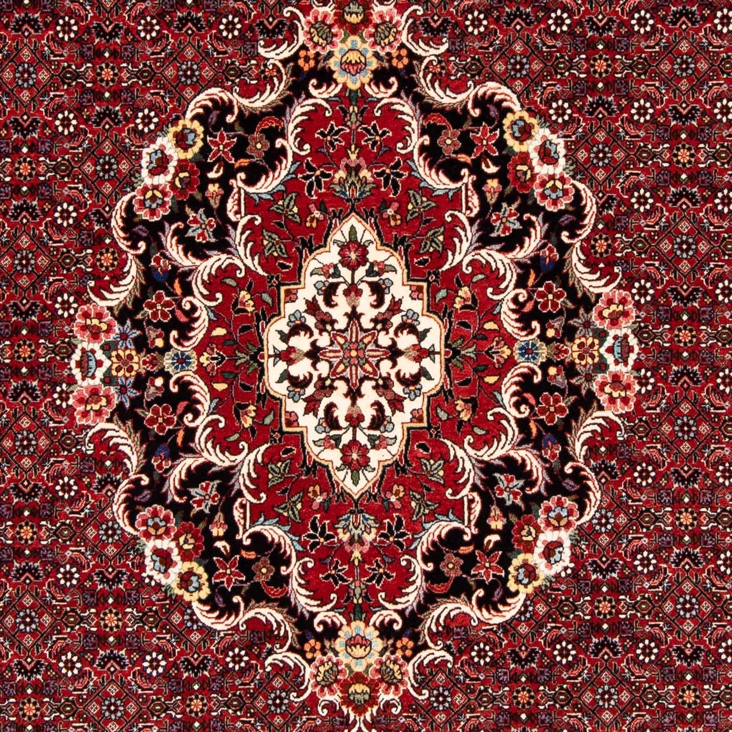 Perserteppich - Bidjar 229 x 172 cm