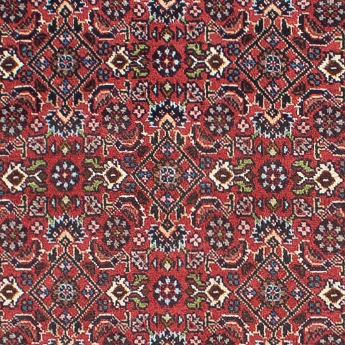 Perserteppich - Bidjar 243 x 68 cm