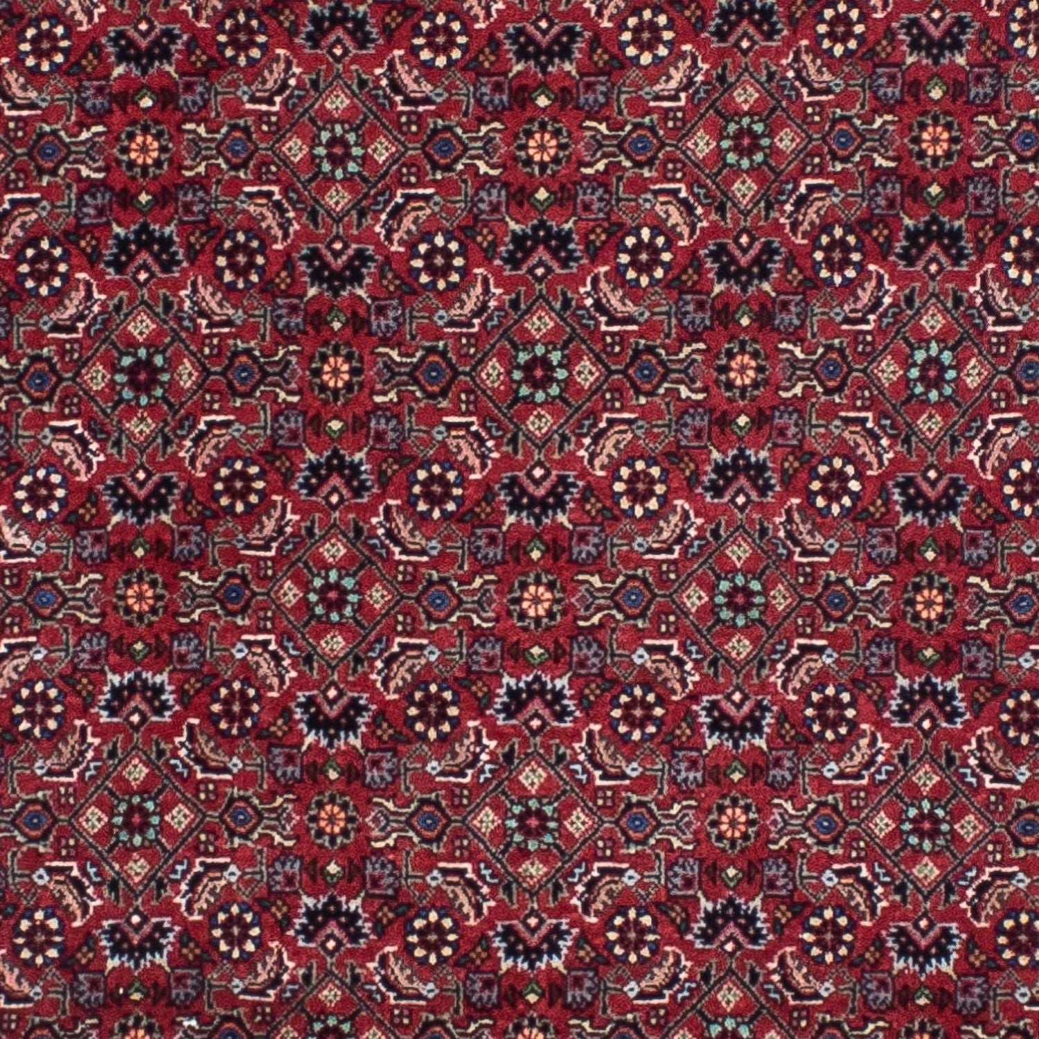 Perserteppich - Bidjar - Royal 295 x 84 cm Teppich Läufer