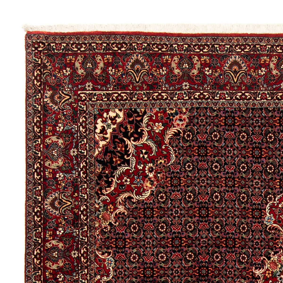 Bidjar Teppich 200x252cm - Perserteppich