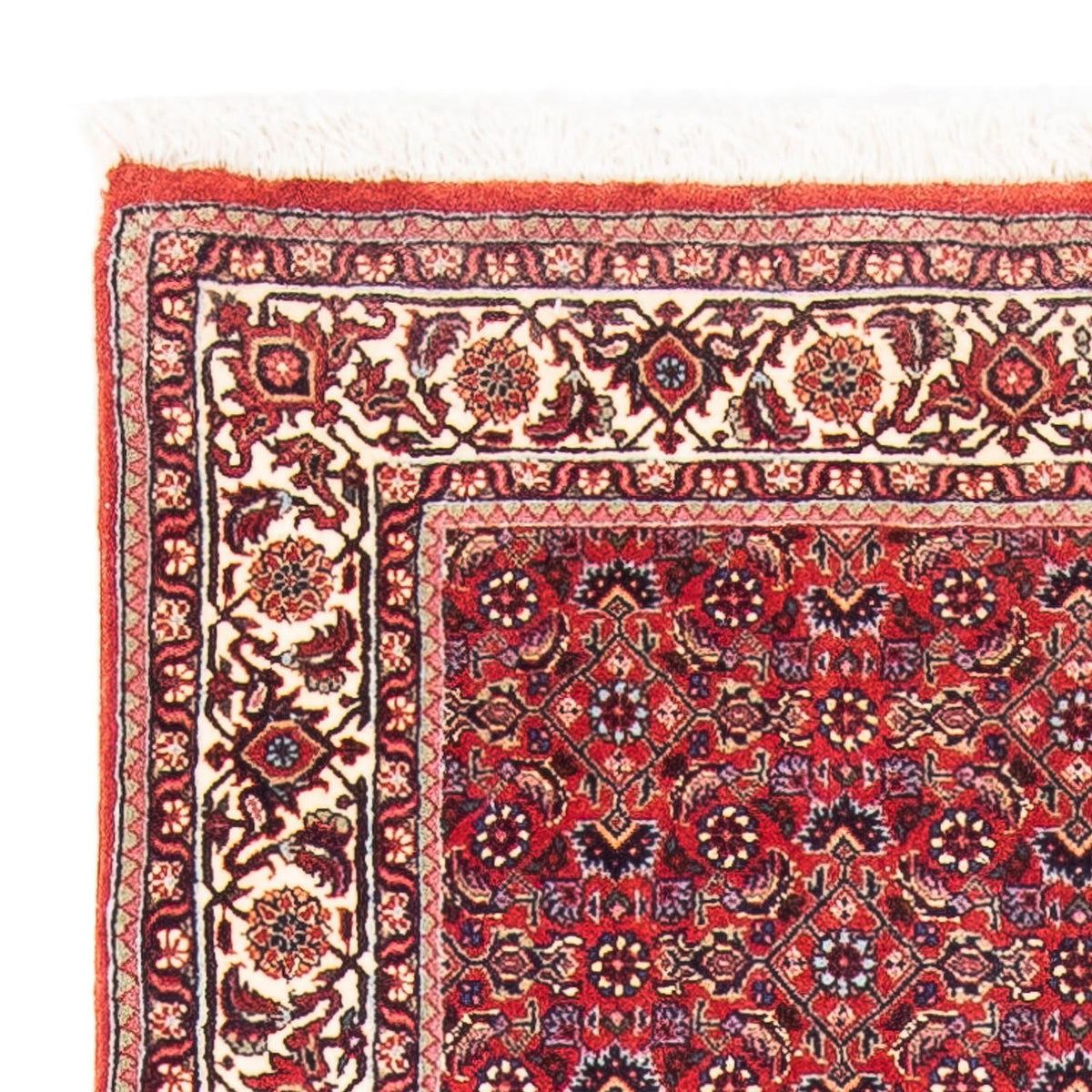 Bidjar Teppich 88x170cm - Perserteppich