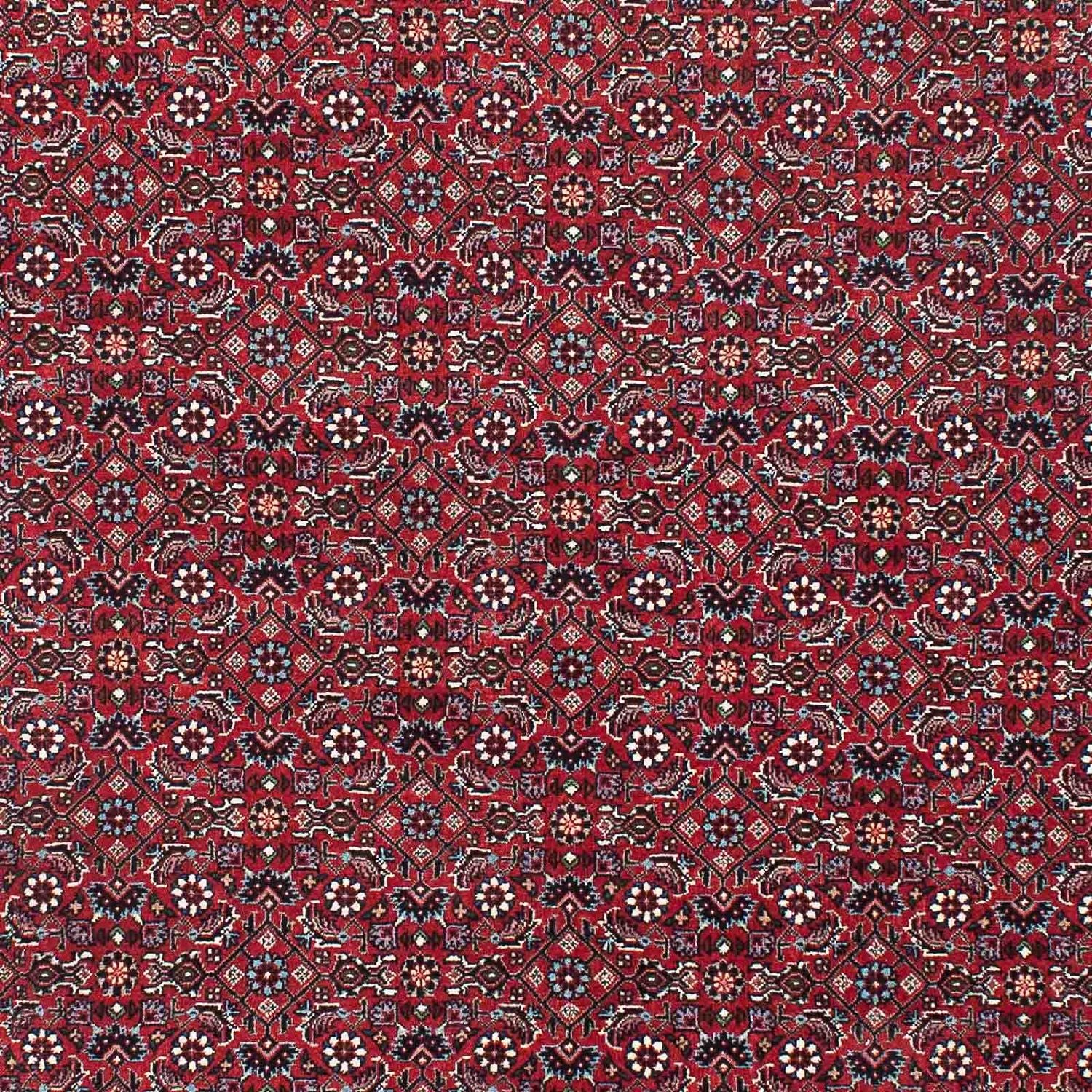Perserteppich - Bidjar - Royal 209 x 132 cm Teppichbrücke