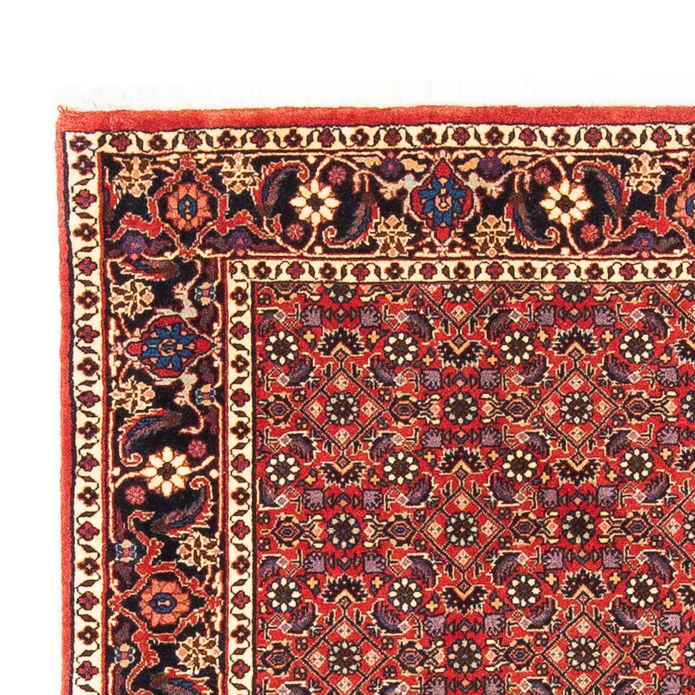 Bidjar Teppich 183x114cm - Perserteppich