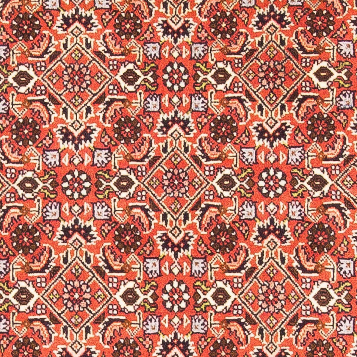 Perserteppich - Bidjar 148 x 84 cm - rot