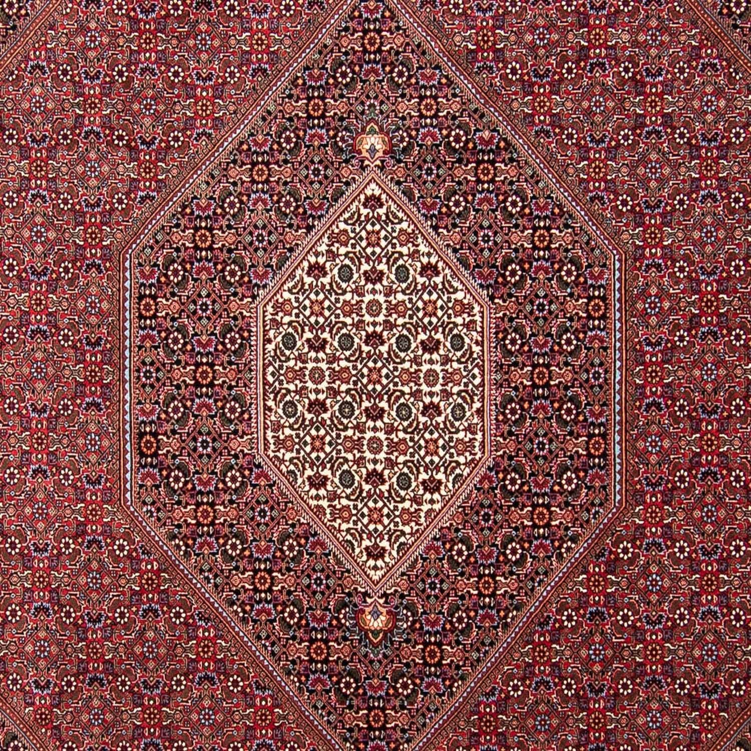 Perserteppich - Bidjar 298 x 258 cm