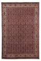 Bidjar Teppich 247x168cm - Perserteppich