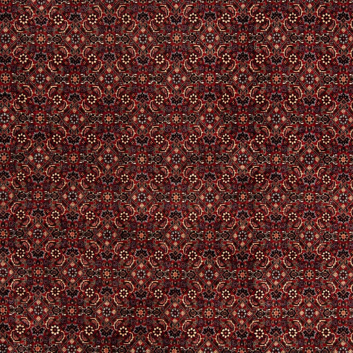 Perserteppich - Bidjar 254 x 198 cm Wohnzimmer Teppich