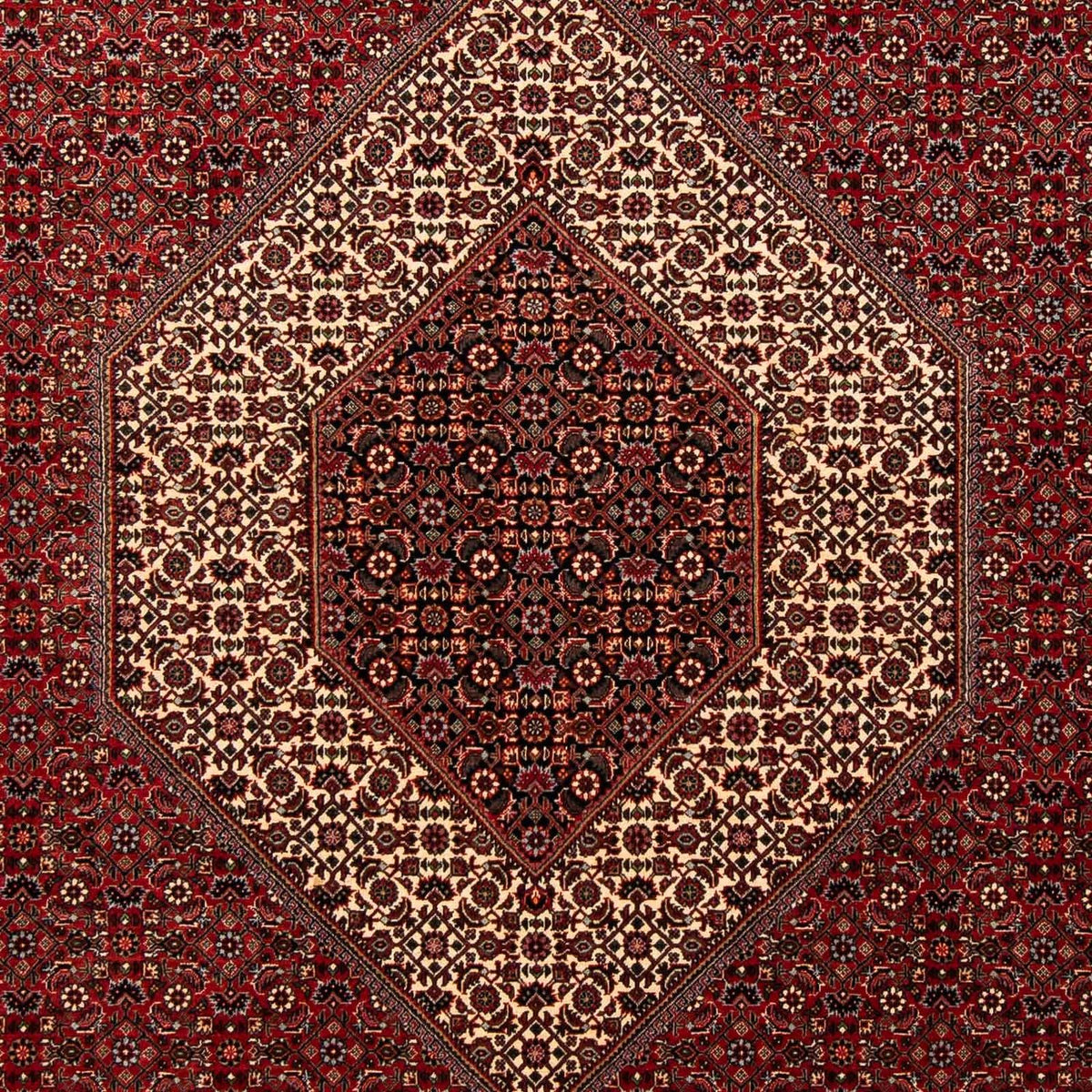 Perserteppich - Bidjar 253 x 202 cm