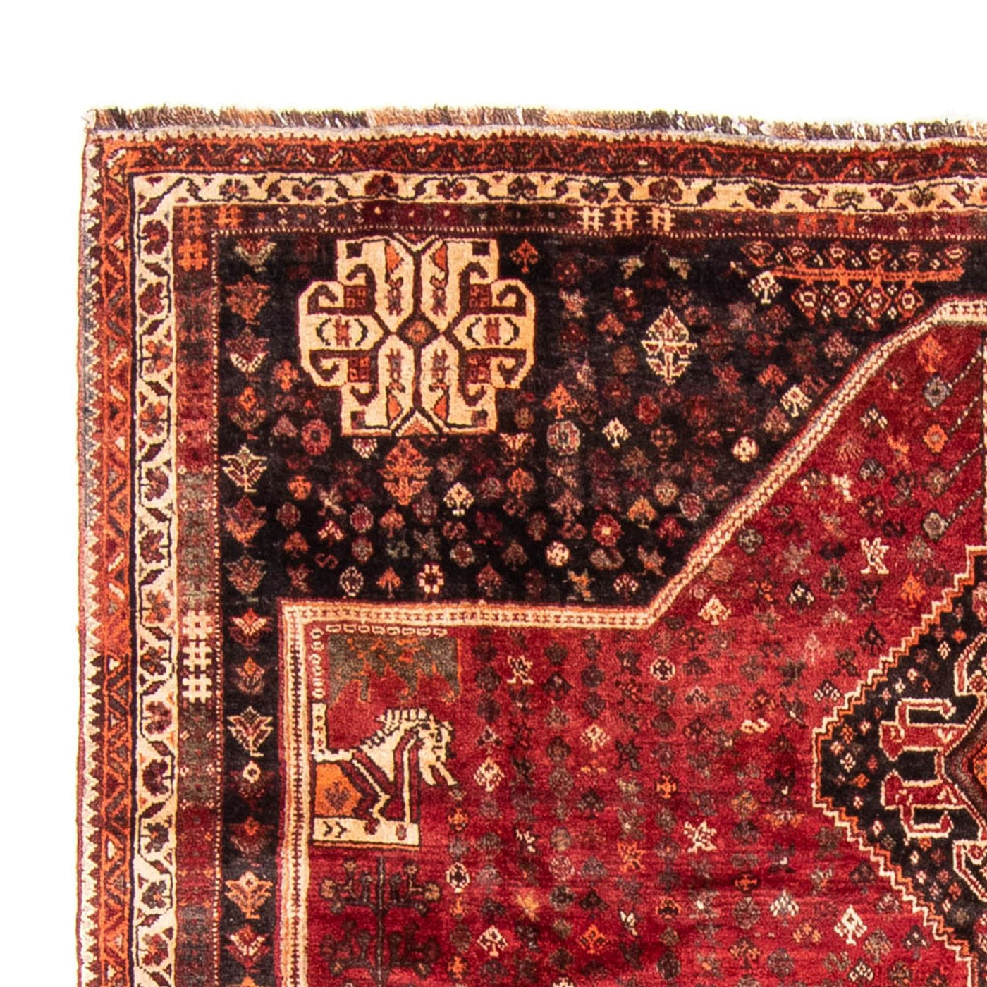 Shiraz Teppich 310x227cm - Perserteppich