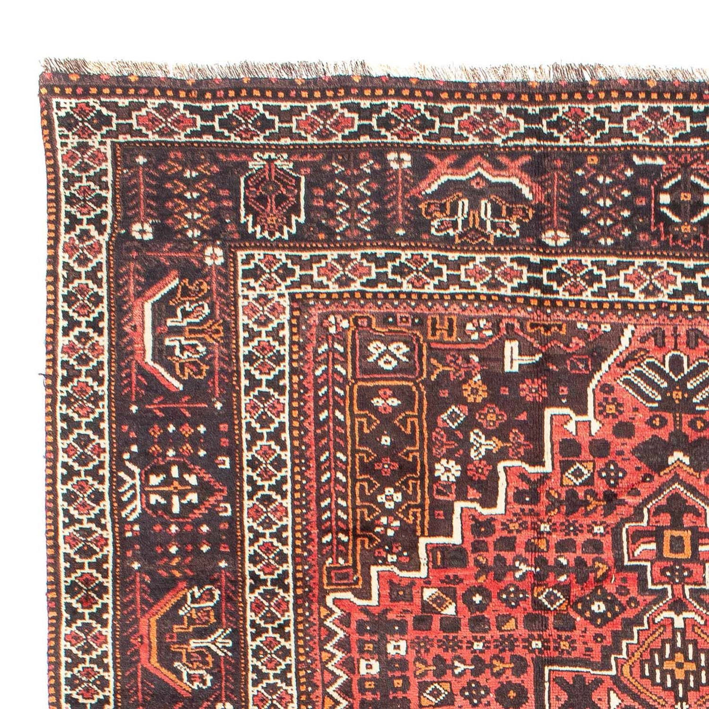 Shiraz Teppich 310x213cm - Perserteppich