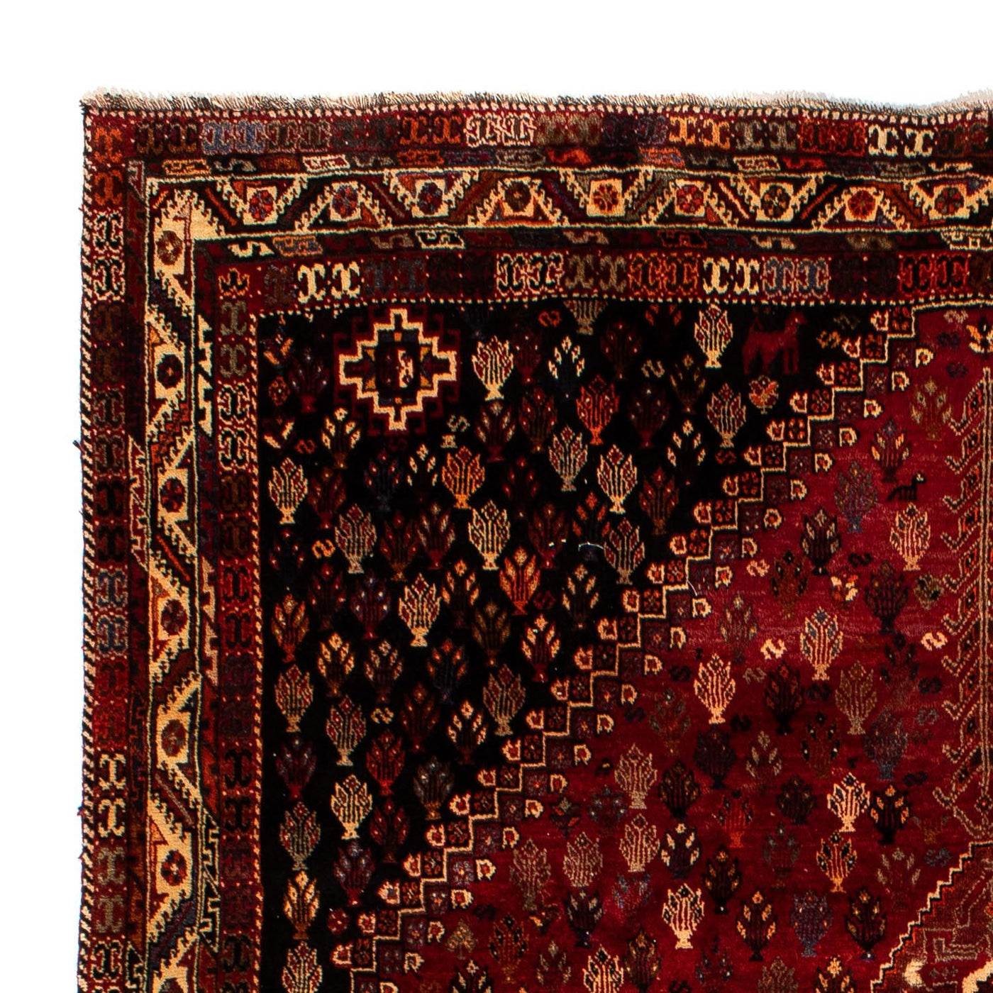 Shiraz Teppich 315x216cm - Perserteppich