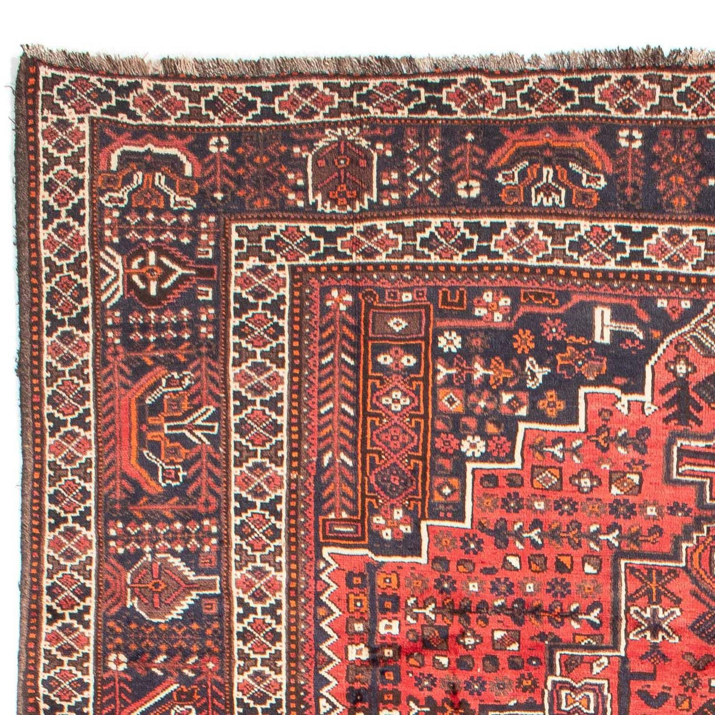 Shiraz Teppich 295x218cm - Perserteppich