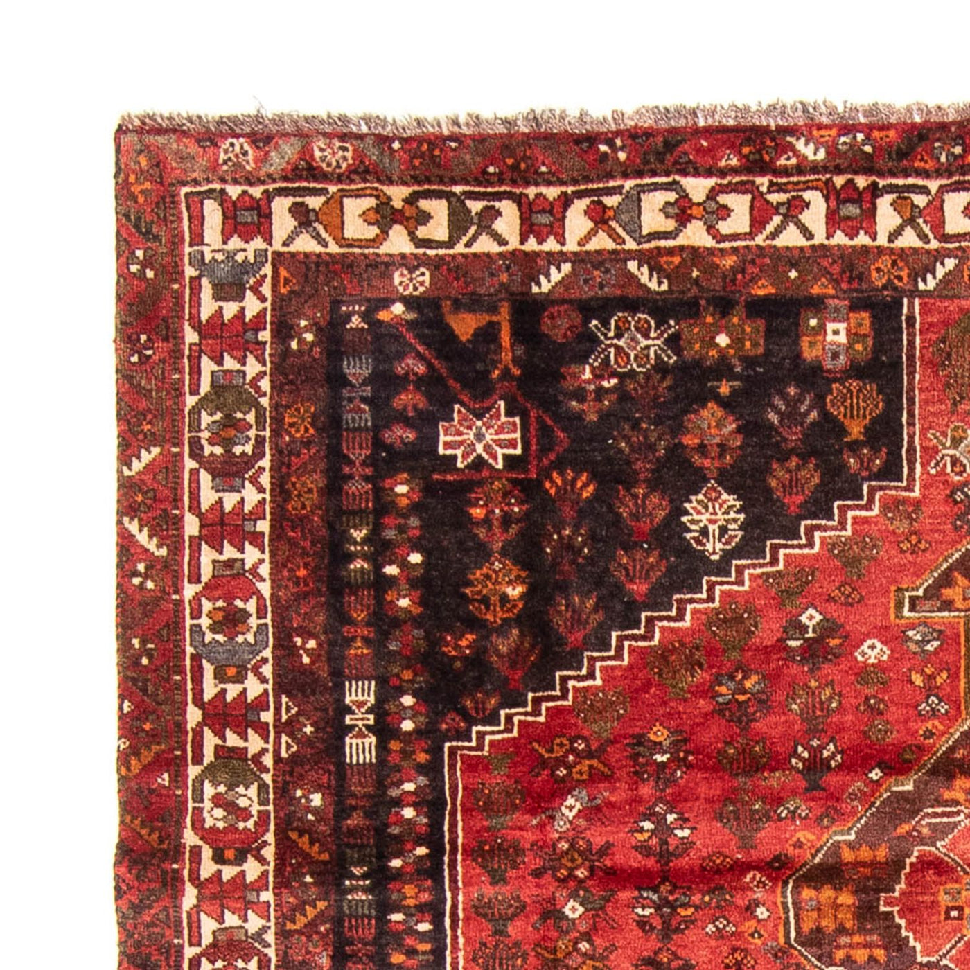 Shiraz Teppich 310x225cm - Perserteppich
