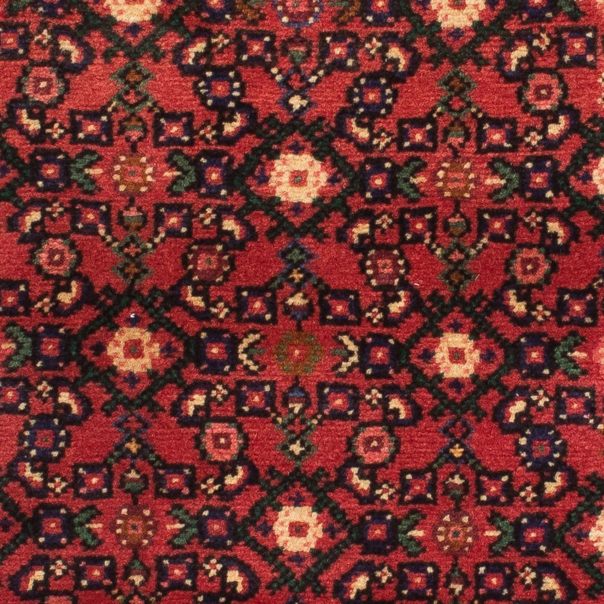 Perserteppich - Nomadic 200 x 73 cm